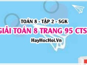 Giải Toán 8 trang 95 tập 2 Chân trời sáng tạo
